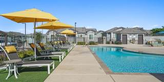 Sienna at South Mountain Gallery 34