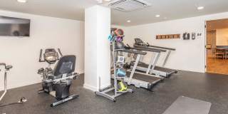 Heights By Vintage Gallery 27