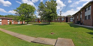 Noah's Landing Gallery 27