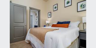 Avita Alamo Heights Gallery 21