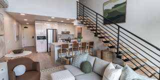 Luella Gallery 2