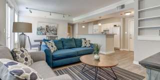 The Saulet Gallery 5