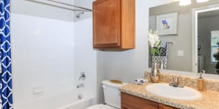 Roots at Waco Gallery 8