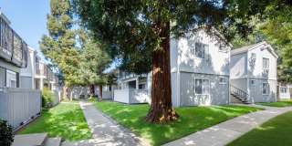 Evergreen Park Apartments Gallery 13