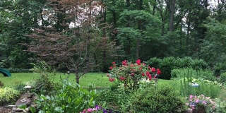 6534 JAY MILLER Drive Gallery 22