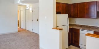 Massachusetts Mills III Gallery 9