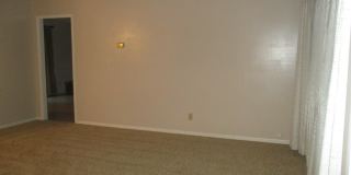 3/2 w/Large Back Yard in Village West! Gallery 5