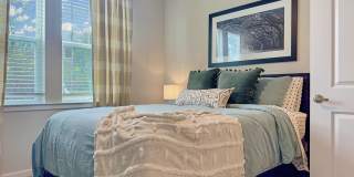 Waterleaf at Salt Creek Gallery 5