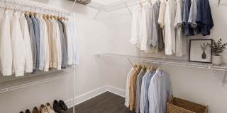 Society Westshore Apartments Gallery 16