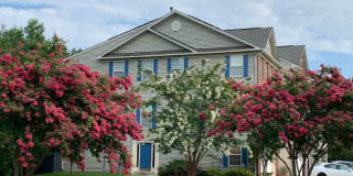 1730 Bluffs Island Ct Gallery 1