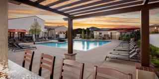 Harvest in Tracy Gallery 24