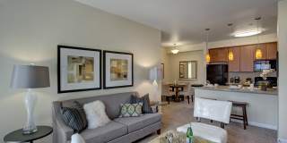 Solara Gallery 14