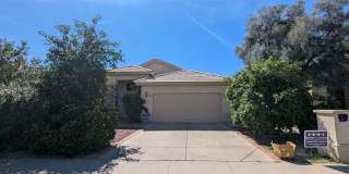 Beautiful 3 bedroom, 2 bathroom home in a Prime Tempe location Gallery 1