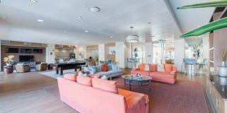 Domain at Kirby Gallery 60