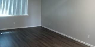 Pointe West Gallery 15
