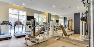 Preston Hollow Village Gallery 37
