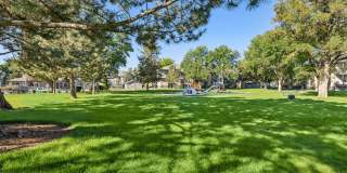 Arbor Crossing Gallery 28