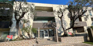 TARZANA 6210 Gallery 1