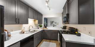 TGM Bull Run Gallery 2