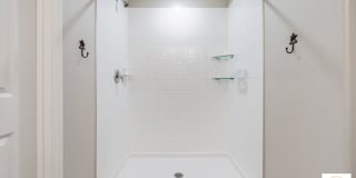 10231 Boggy Moss Dr Gallery 20