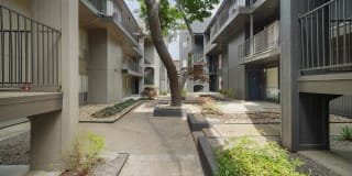 Avondale at Bellmar Gallery 13