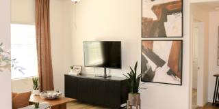 Altair Apartments Gallery 7