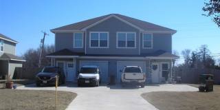 2992 PALOMINO Gallery 1