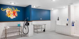 AMLI Lakeline Gallery 15