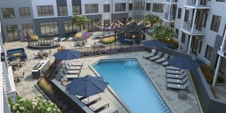 Ivy & Green Gallery 14