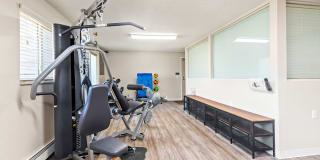 Sterling Heights Gallery 25