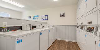 Bexley Village Gallery 24