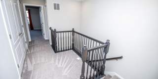1296 FOGGY Turn Gallery 23