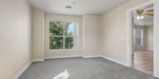 Pines at Castle Rock Gallery 21
