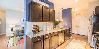 Element Carolina Bay Element Carolina Bay Gallery 2