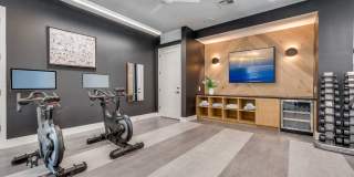 Maple Gallery 23