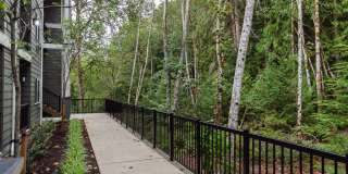 Trailhead at the Preserve Gallery 22