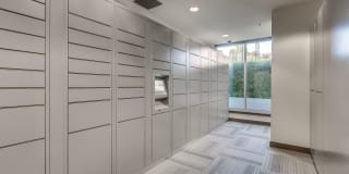 Equinox Gallery 47