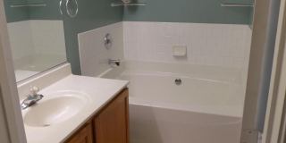 1302 ROMAN RIDGE Way Gallery 11