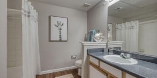 Saddle Ridge Gallery 11