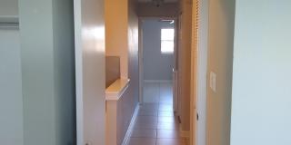 1020 Pinetree Drive Gallery 16