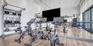 ParkLine Miami Gallery 53