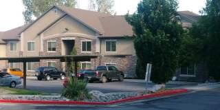 Orchard Gardens  (OG) Gallery 18
