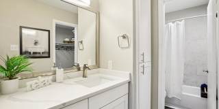 The Sonata Gallery 12