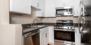 Lantern Cove Gallery 10