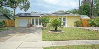 5301 Carrollwood Meadows Drive Gallery 1