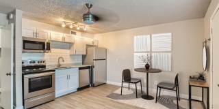 Rise Camelback Gallery 1