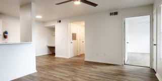 ReNew Brandon Gallery 7