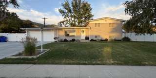 408 North 1000 East Gallery 1
