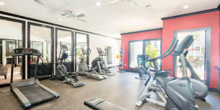 Derby at Steeplechase Gallery 7