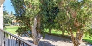 5515 Paseo Del Lago W 2G Gallery 27